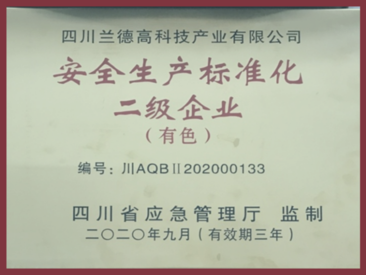安全生產(chǎn)二級(jí)企業(yè).png
